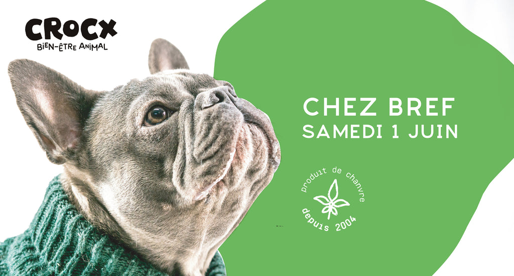 Présentation des produits pour animaux Crocx
