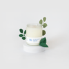 Eucalyptus + Mint Candle