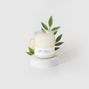 Pear Candle + Green Tea