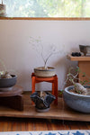 PALLA orange plant stand