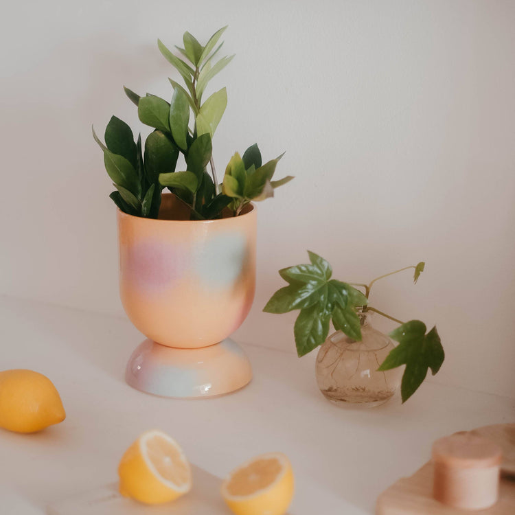 Euphoria Large Ceramic Planter