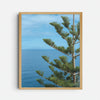 Photograph 'Halfway'