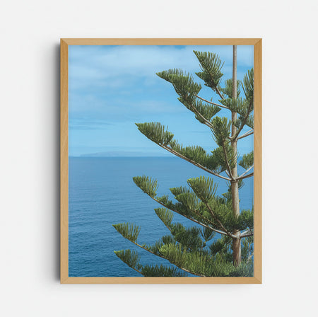 Photograph 'Halfway'