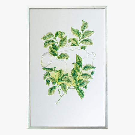 Risography poster 'Camelia'