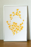 Risography poster 'Chamomile'