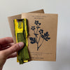 DIY Paper Flower Kit 'Buttercup'