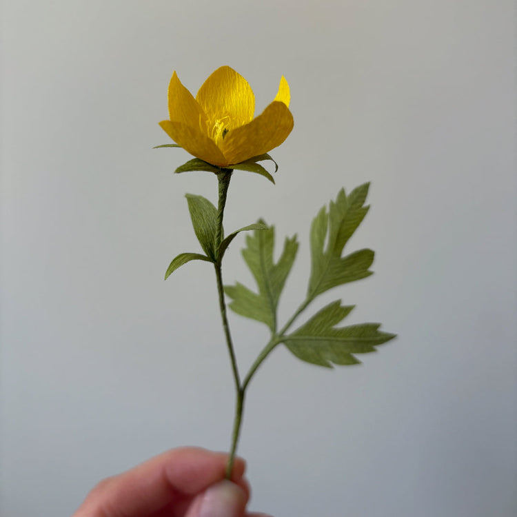 DIY Paper Flower Kit 'Buttercup'