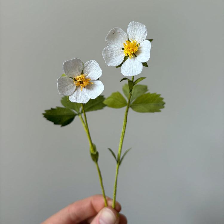 DIY Paper Flower Kit 'Wild Strawberry'