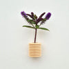 Small Ribble wooden wall vase