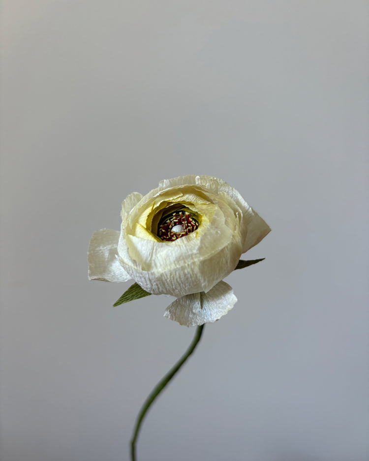 Fleur de papier Renoncule