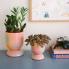 Euphoria Small Ceramic Planter