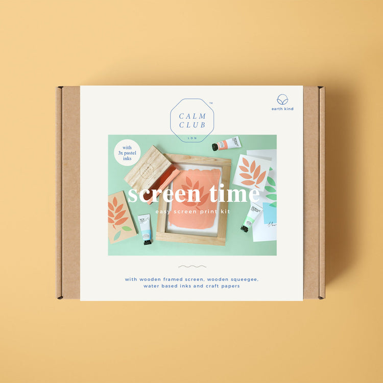 DIY screen printing kit for paper