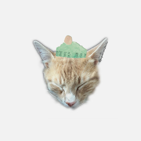 Cat hat sticker
