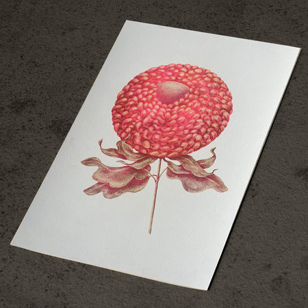 Risography poster 'Round flower'