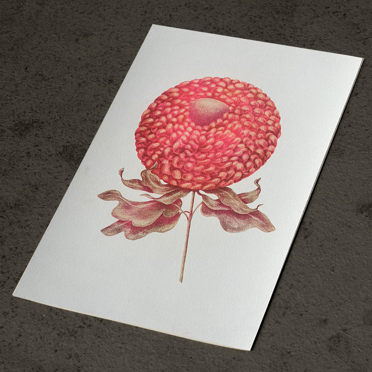 Risography poster 'Round flower'