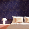Constellation Night Wallpaper