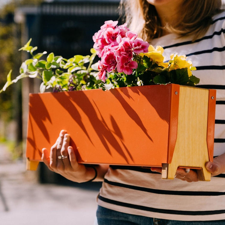 Jardinière Pamplemousse