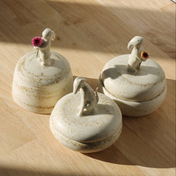 Studio Victoria Clark