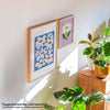 Affiche Fleurs Chats