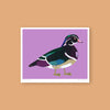 Poster 'Wood Duck'