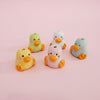 Mini soliflore Canard