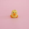 Mini soliflore Canard