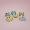Mini soliflore Grenouille