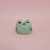 Mini soliflore Grenouille