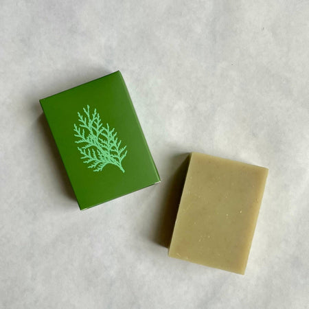 Rosemary &amp; Cedar Soap