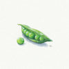 Watercolor poster 'Miniature Peas'