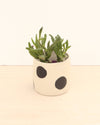Petit cache-pot à pois
