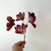 Fleur de papier Cosmos [couleurs variées]