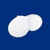 Ceramic Shell Box