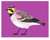 'Horned Lark' poster