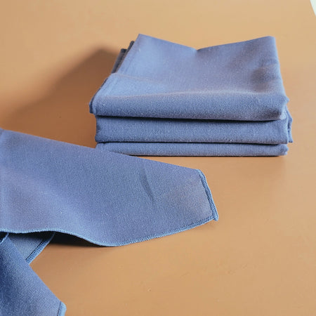 Ensemble de 4 serviettes de table bleues