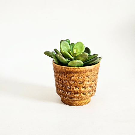 Vintage woven ceramic planter