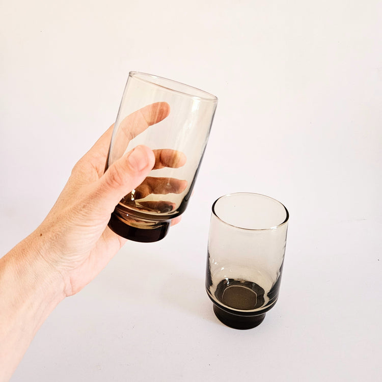 Duo de verres fumés Dominion vintages