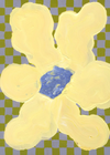 Affiche 'Flowers with Checks 04'