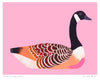 Poster 'Canada Goose'