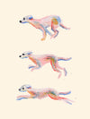 Affiche '3 chiens'