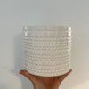 Textured plant pot [as is]