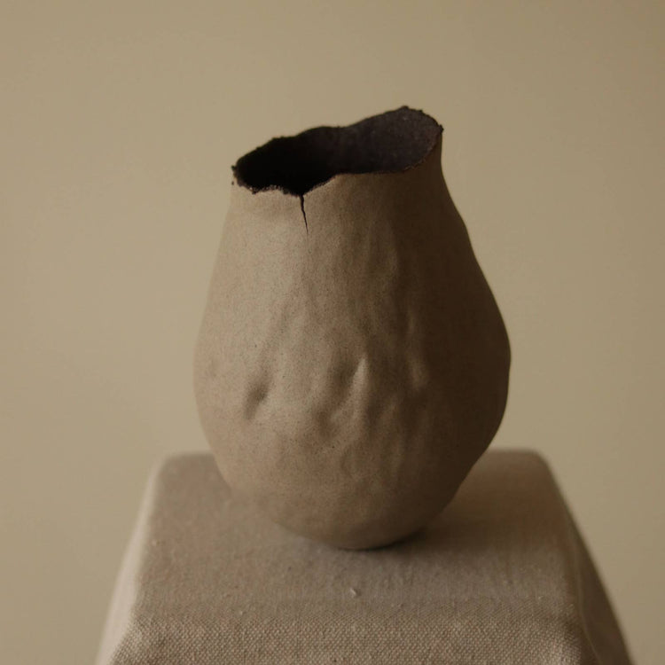 Vase Terre