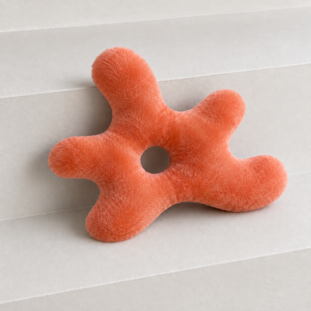 Coussin moyen corail orange
