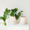 Bubble ceramic planter