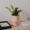 Euphoria Large Ceramic Planter
