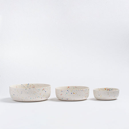 Party ceramic bowl [various sizes] 
