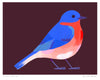 Poster 'American Bluebird'