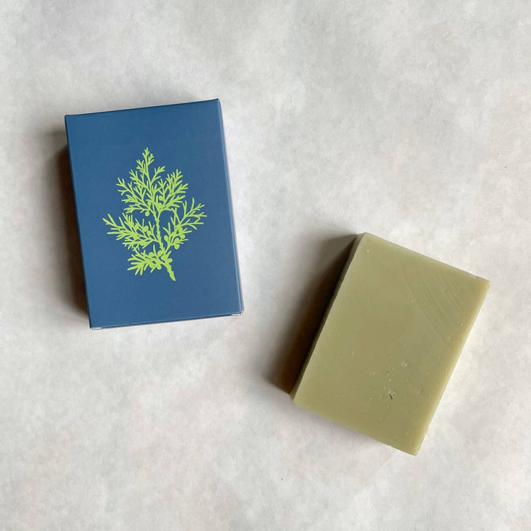 Juniper and Glacial Clay Soap