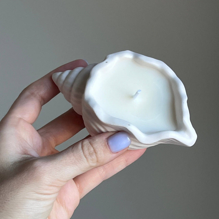 Bougie coquillage noix de coco et lime