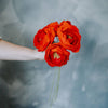 Fleur Pivoine rouge en feutre